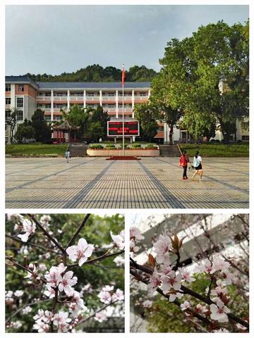 调整大小 10.jpg