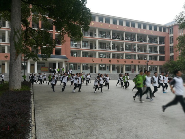 应急演练 (复制).jpg